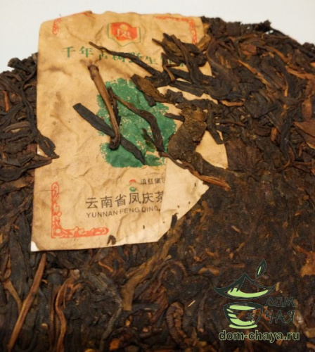 Е Шэн Гу Ча 2006