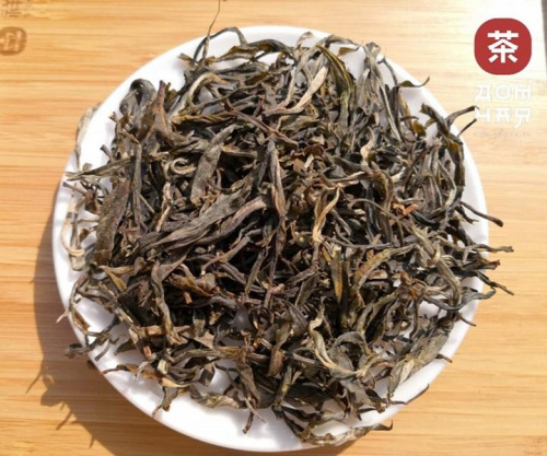 Шэн Суху с 500-летних Деревьев" SHQ, 2021