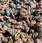 Габа Лишань «Дикая Орхидея» SHQ