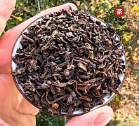 Фэнцин Гушу Торфяной "Крафтовый Шу" 2008г., HQ