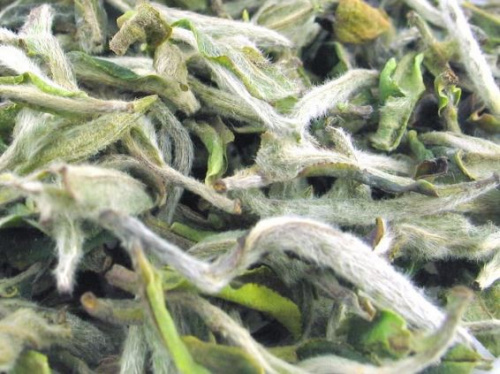 Ешен Бай Му Дань «Белый пион»