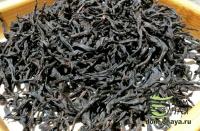 ГАБА Хун Ча