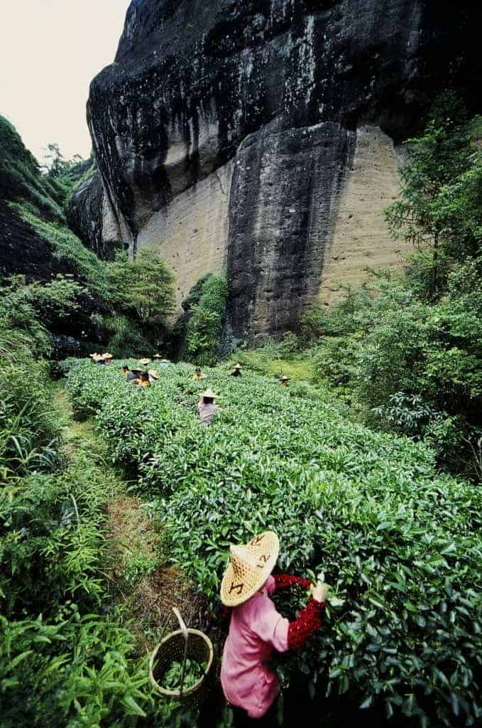 Уишаньские Улуны