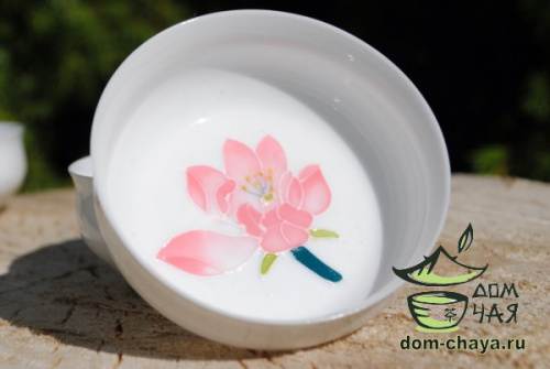 Пиалы из тонкостенного Фарфора ручной росписи f11