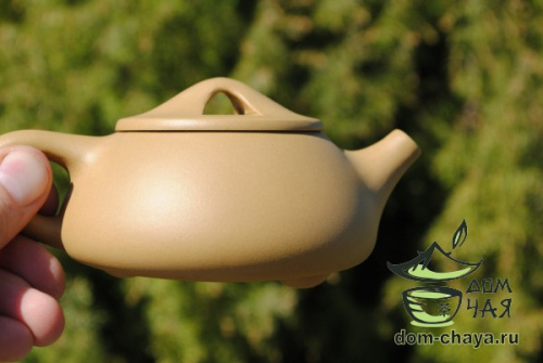 Чайник Исинская глина #344