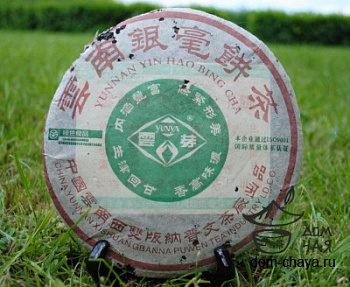 Инь Хао «Пу Вэнь» 2005г.