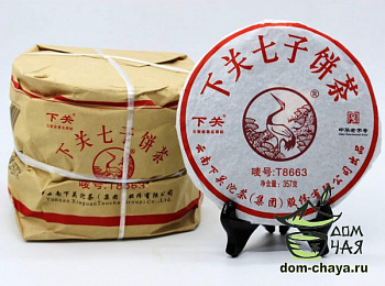 Сягуань Тэ Бин (Железный блин T8663)