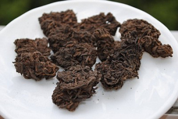 Старые Чайные Головы «Драконьи Комки» 2008г.