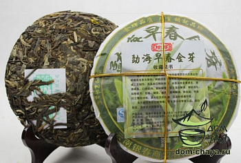 Цзао Чунь Цзинь Я (Золотой бутон)