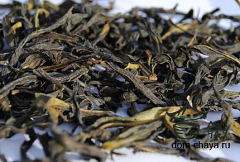 Чао Чжоу Гон Сян Дань Цун HQ