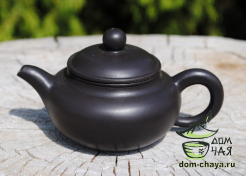 Чайник Исинская глина #366