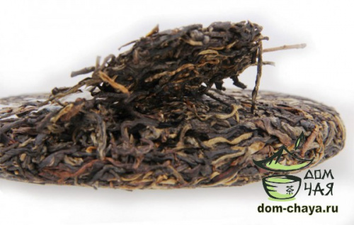 ШуДайЦзы «Гу Шу Ча»