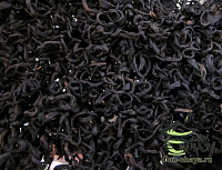 Лао Шань Хун Ча «красный чай из Циндао»