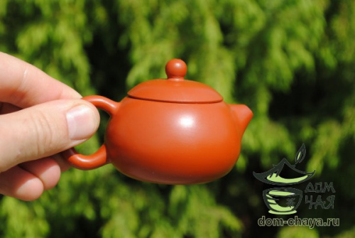 Чайник Исинская глина #372
