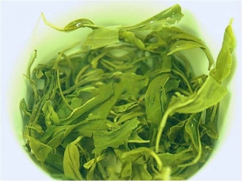 Цзинь Шань Мао Фэн «Дикорастущий зеленый чай»