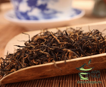 Бай Линь Гун Фу