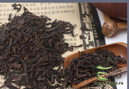 Мэнхай Шу Ча 2005г.