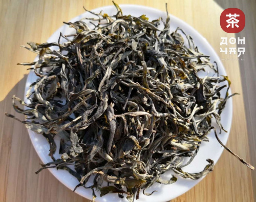 Хэкай Гушу Органик, первый сбор с 800-летнего дерева SHQ