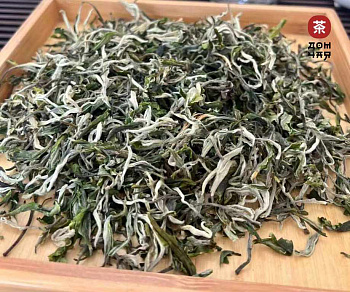 Сюэ Я «Снежная почка» HQ, февраль