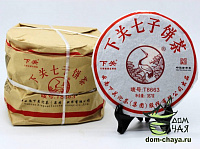 Сягуань Тэ Бин (Железный блин T8663)