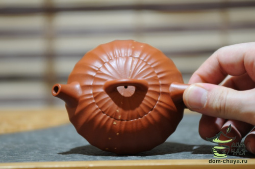 Исинский Чайник #523