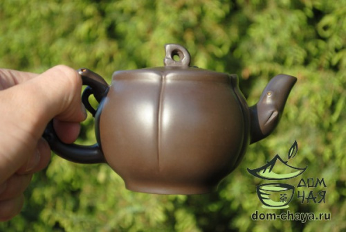 Исинский Чайник #289
