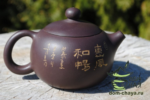 Чайник Исинская глина #333