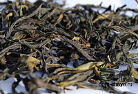 Чао Чжоу Гон Сян Дань Цун HQ