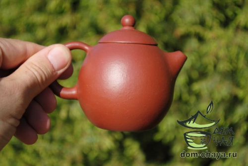 Исинский Чайник #252