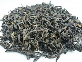 Шуй Цзинь Гуй «Водяная Золотая Черепаха» HQ