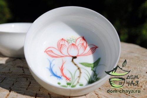 Пиалы из тонкостенного Фарфора ручной росписи f11