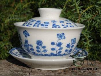 Гайвань (большая) #4