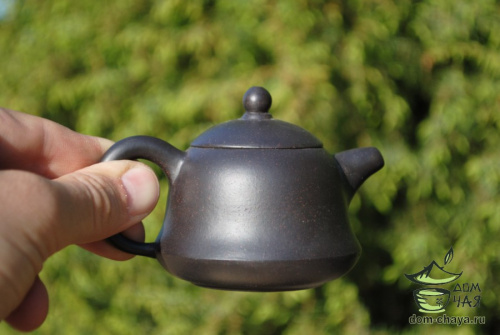 Исинский Чайник #261