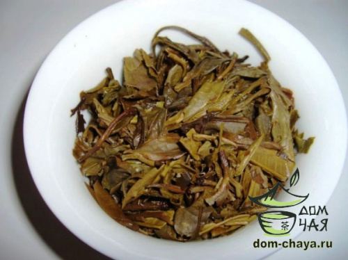 Мэн Ку «Тэ Цзи Цин Бин» 2007г.