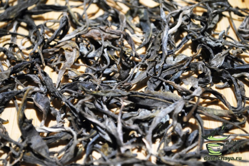 Исинский Чайник #467