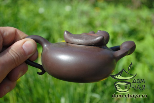 Исинский Чайник #281