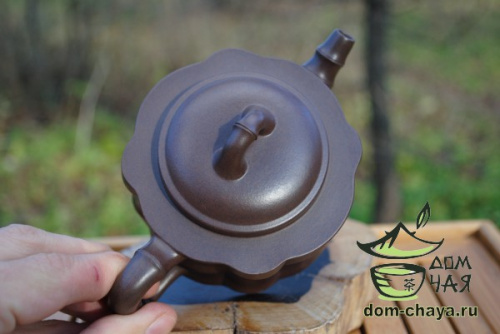 Исинский Чайник #115