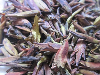 Цзы Я Бао «Фиолетовые Почки»