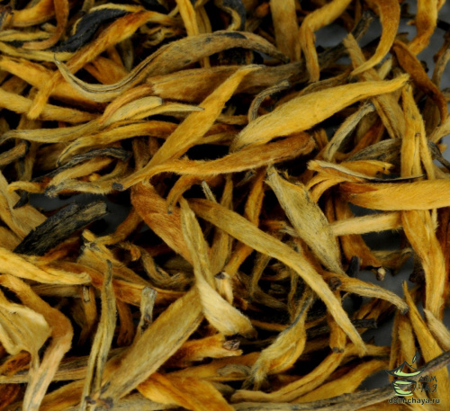 Цзинь Я "из Пуэрного сырья" HQ