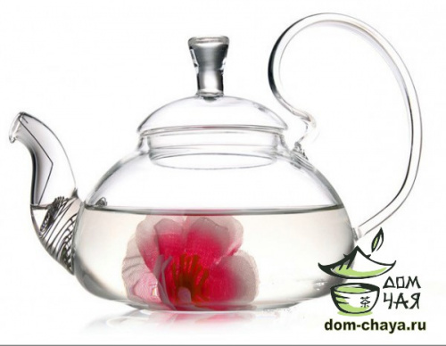 Чайник стекло #6
