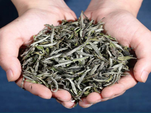 Чжэньхэ Бай Му Дань Ван HQ