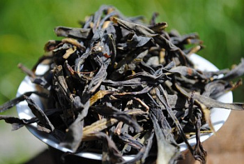 Фэн Хуан Дань Цун Сюэ Пянь «Снежные Листья с Горы Феникса»