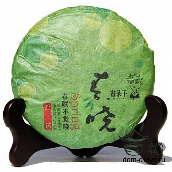 Ю Ле Я Но «Шудайцзы»