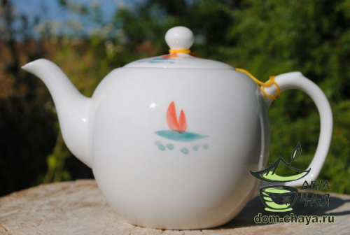 Чайник из тонкостенного Фарфора ручной росписи (Большой) f61