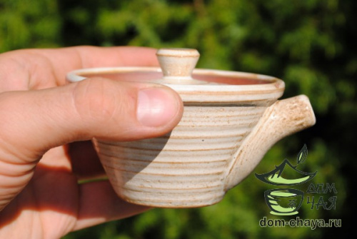 Чайник-Гайвань обливная глазурь (ручной работы) #2