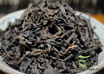 Чжань Сян Гу Шу ЮнДэ 2008г.